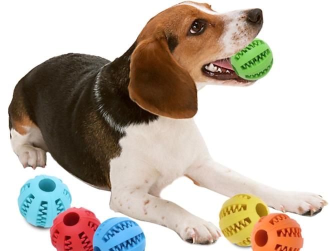 игрушки для чистки зубов у собак игрушки для чистки зубов у собак