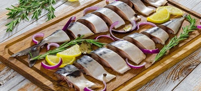 малосольная скумбрия в горчичной заливке малосольная скумбрия в горчичной заливке