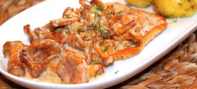 медальоны из индейки в сливочном соусе медальоны из индейки в сливочном соусе