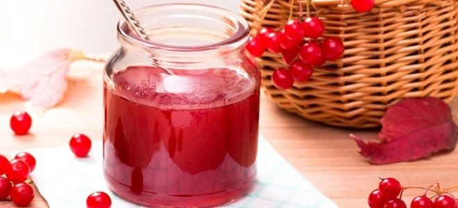 рецепт калинового сиропа на зиму рецепт калинового сиропа на зиму