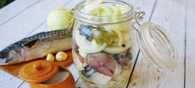 малсольная скумбрия с луком малсольная скумбрия с луком