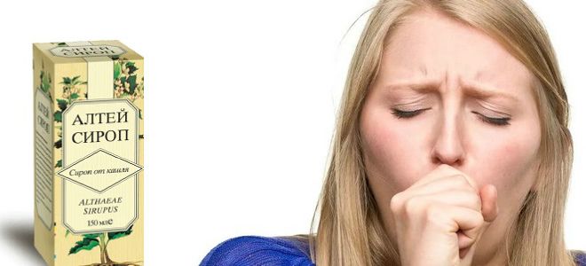 сироп алтея от кашля сироп алтея от кашля