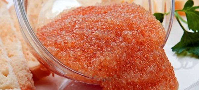 икра рыбы таймень икра рыбы таймень