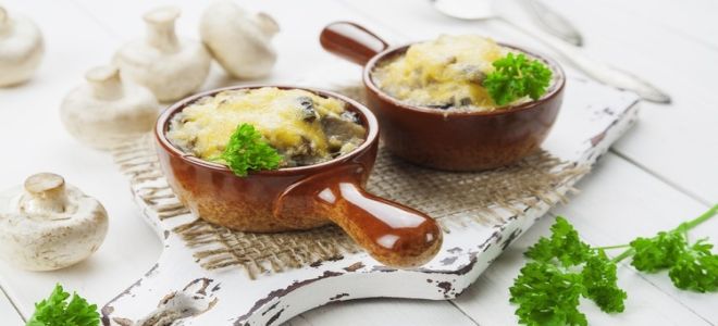 жульен с говяжьим языком жульен с говяжьим языком