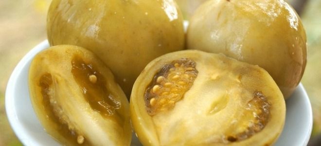 зеленые помидоры с горчицей зеленые помидоры с горчицей