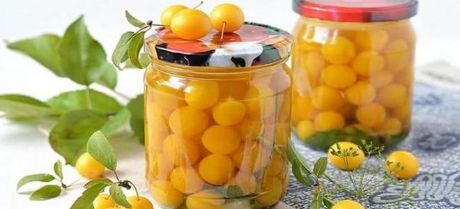 компот из сливы и алычи на зиму компот из сливы и алычи на зиму