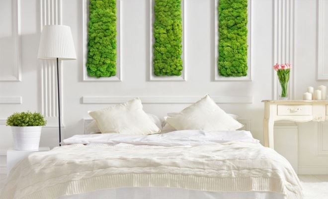 стабилизированный мох спальне стабилизированный мох спальне