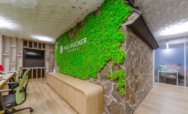 стабилизированный мох офисе стабилизированный мох офисе