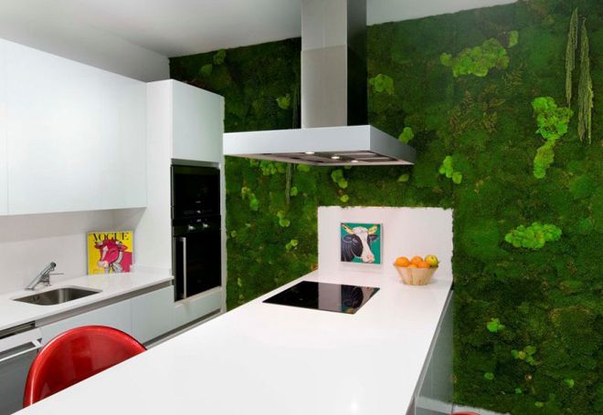мох на кухне мох на кухне