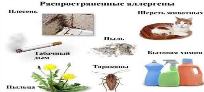 аллергический ринит причины аллергический ринит причины