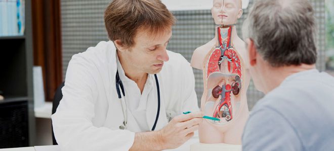 андролог это врач который лечит андролог это врач который лечит