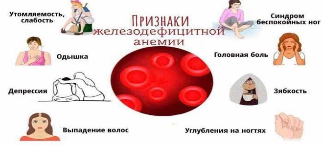 фото1 диагноз латентный дефицит железа