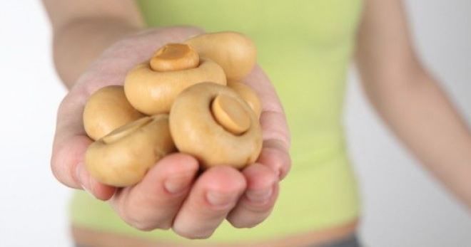 грибы кормящей маме грибы кормящей маме