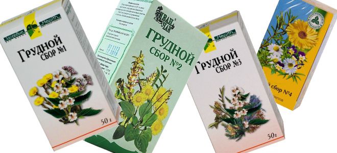 грудной сбор состав и назначение грудной сбор состав и назначение