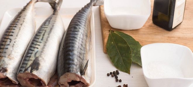 как посолить скумбрию в рассоле как посолить скумбрию в рассоле