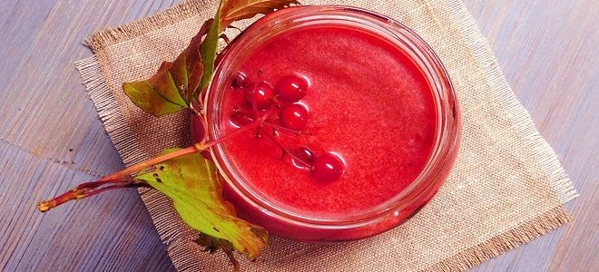 калина с медом на зиму калина с медом на зиму