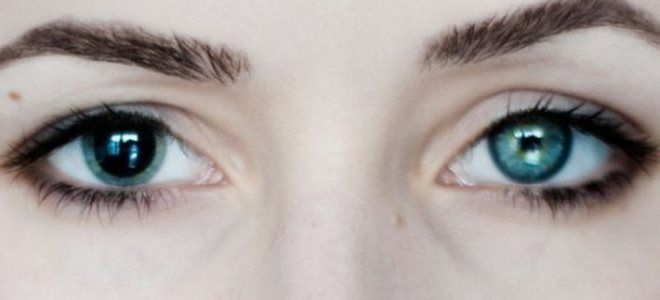 капли мидримакс состав капли мидримакс состав