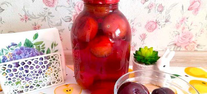 компот из сливы с косточками на зиму компот из сливы с косточками на зиму