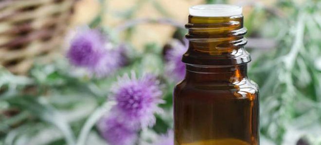 масло расторопши полезные свойства и противопоказания масло расторопши полезные свойства и противопоказания