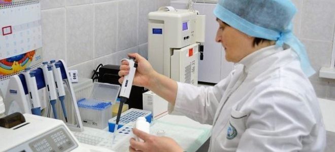 общий анализ крови показатели общий анализ крови показатели