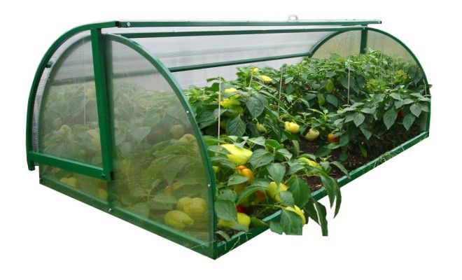 парник хлебница описание парник хлебница описание