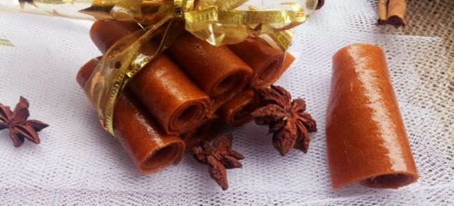 пастила из яблок в сушилке для фруктов пастила из яблок в сушилке для фруктов