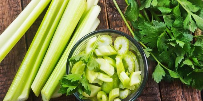 полезные свойства и противопоказания сельдерея полезные свойства и противопоказания сельдерея