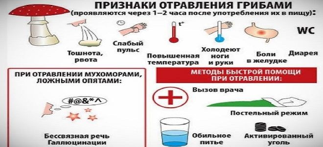 при отравлении рибами при отравлении рибами