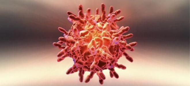 риновирусная инфекция этиология риновирусная инфекция этиология