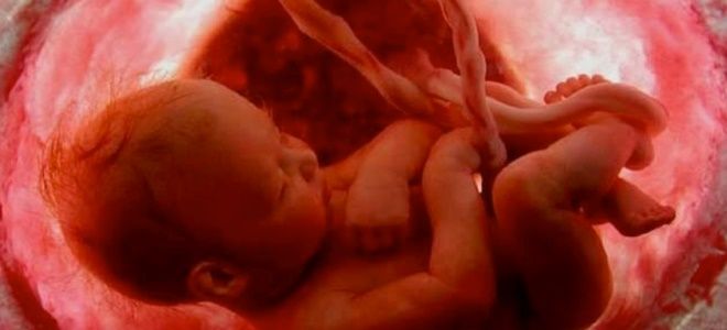 шевеления на 37 неделе шевеления на 37 неделе