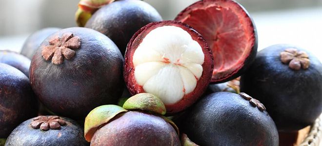 сироп мангустина состав сироп мангустина состав