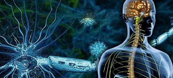 фото1 таблетки аксамон 10 мг