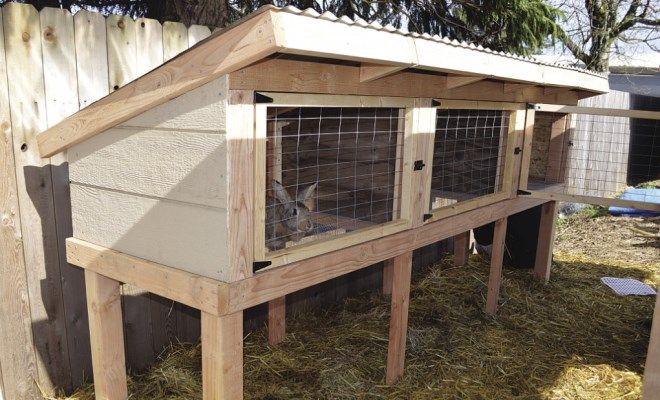 устройство клетки для кроликов одноэтажные устройство клетки для кроликов одноэтажные