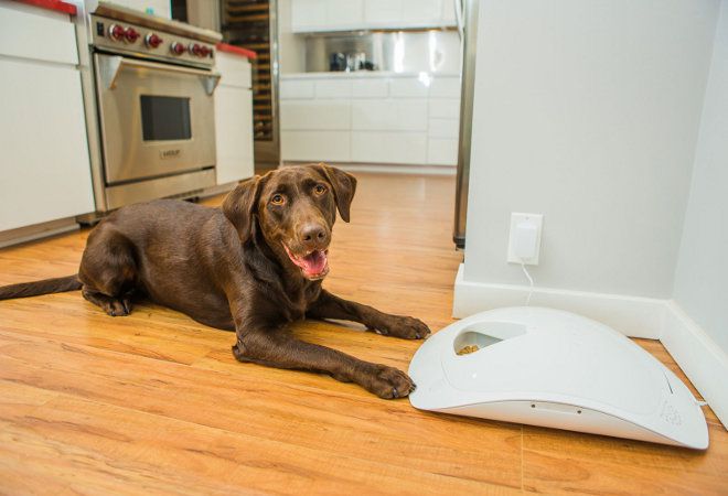 утройство утройство