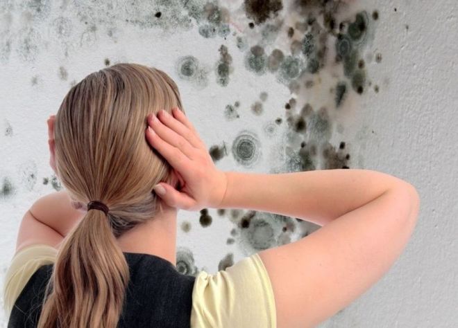 зачем нужен вентилятор в ванной1 зачем нужен вентилятор в ванной1