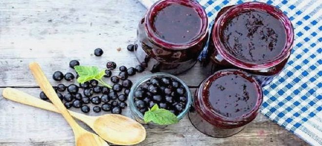 джем из черной смородины без косточек джем из черной смородины без косточек