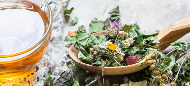 грудной сбор 2 грудной сбор 2