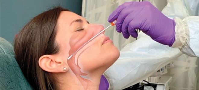 как берут мазок на ковид как берут мазок на ковид