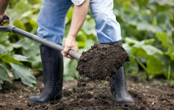 как подготовить участок для сада как подготовить участок для сада