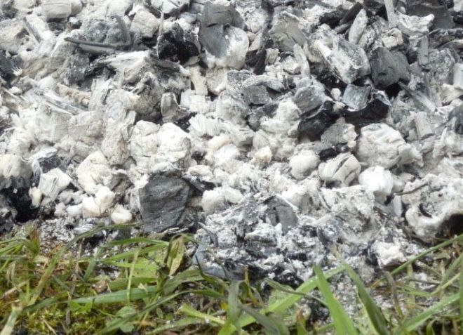 как подкормить кабачки золой как подкормить кабачки золой