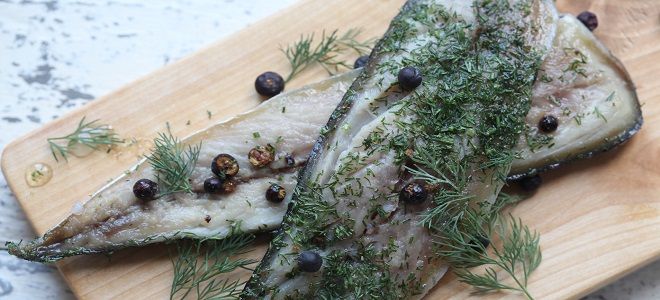 как посолить скумбрию сухим посолом как посолить скумбрию сухим посолом