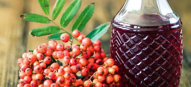 как сделать настойку из рябины как сделать настойку из рябины