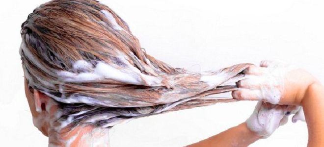 как ухаживать за волосами после биксипластии как ухаживать за волосами после биксипластии