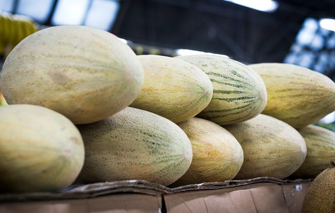 когда можно покупать дыню торпеда когда можно покупать дыню торпеда