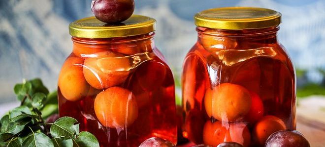 компот из сливы без косточек на зиму компот из сливы без косточек на зиму