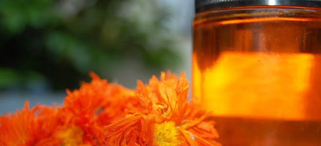 масло календулы масло календулы