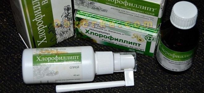 масляный спрей хлорофиллипт масляный спрей хлорофиллипт