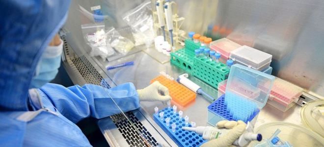 метод пцр метод пцр