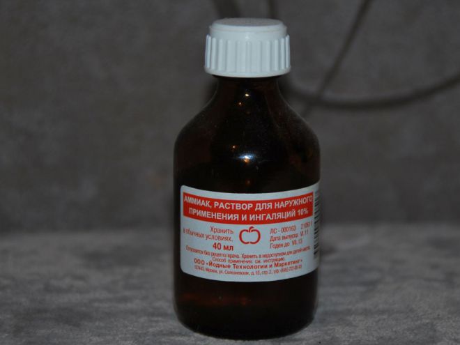 Нашатырный спирт от тли на смородине Нашатырный спирт от тли на смородине