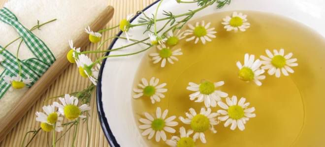 Настойка из ромашки для лица Настойка из ромашки для лица